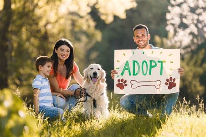 'Teen Mom' Star Reveals Surprising Adoption News
