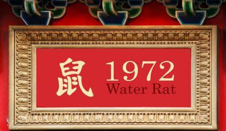 1972 Chinese Zodiac | Water Rat