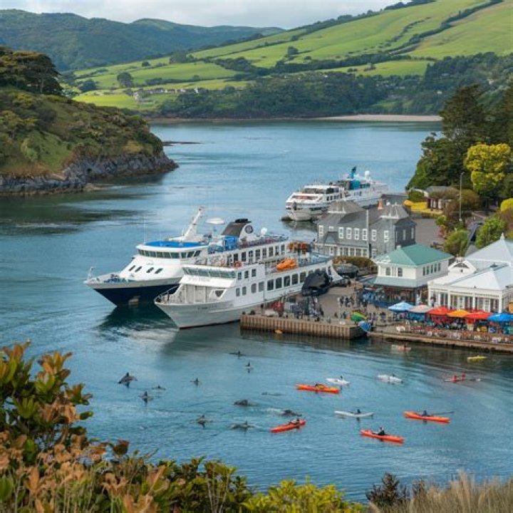Akaroa Shore Excursions & Cruise Excursions