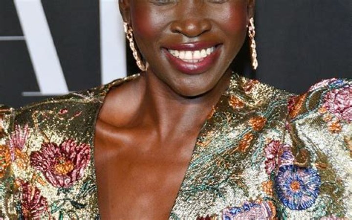 Alek Wek Net Worth - Wiki, Age, Weight and Height, Relationships, Family, and More