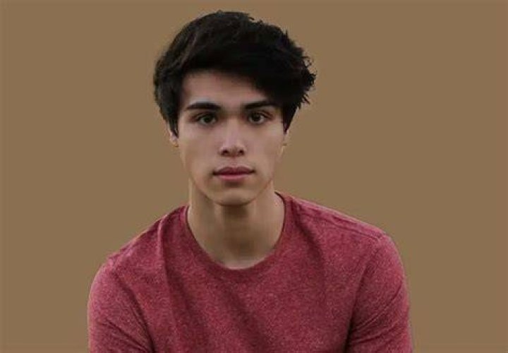 Alex Stokes Bio (Wiki) 