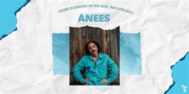Anees Mokhiber - Age, Family, Bio
