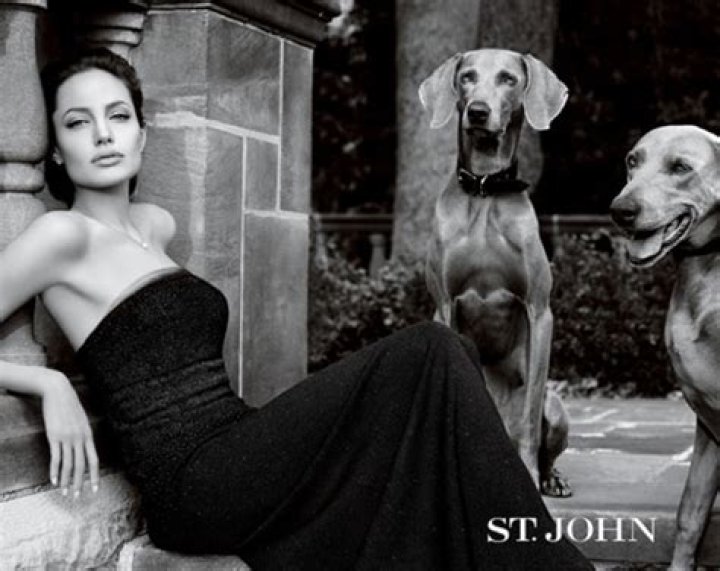 Angelina Jolie “overshadowed” the St. John brand