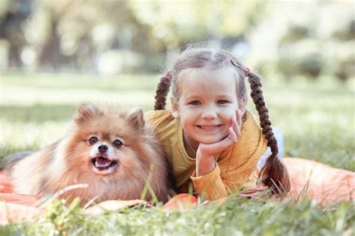 Are Pomeranians good with kids?