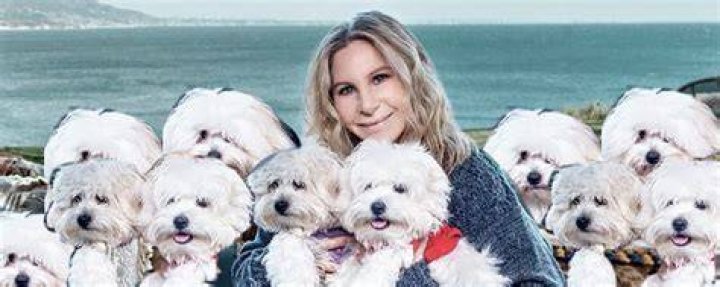 Barbra Streisand cloned her dog, spending up to $500,000