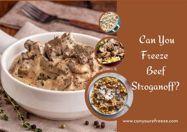 Can beef stroganoff be frozen?