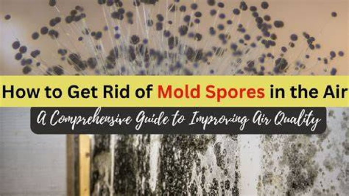 Can candles kill mold spores?