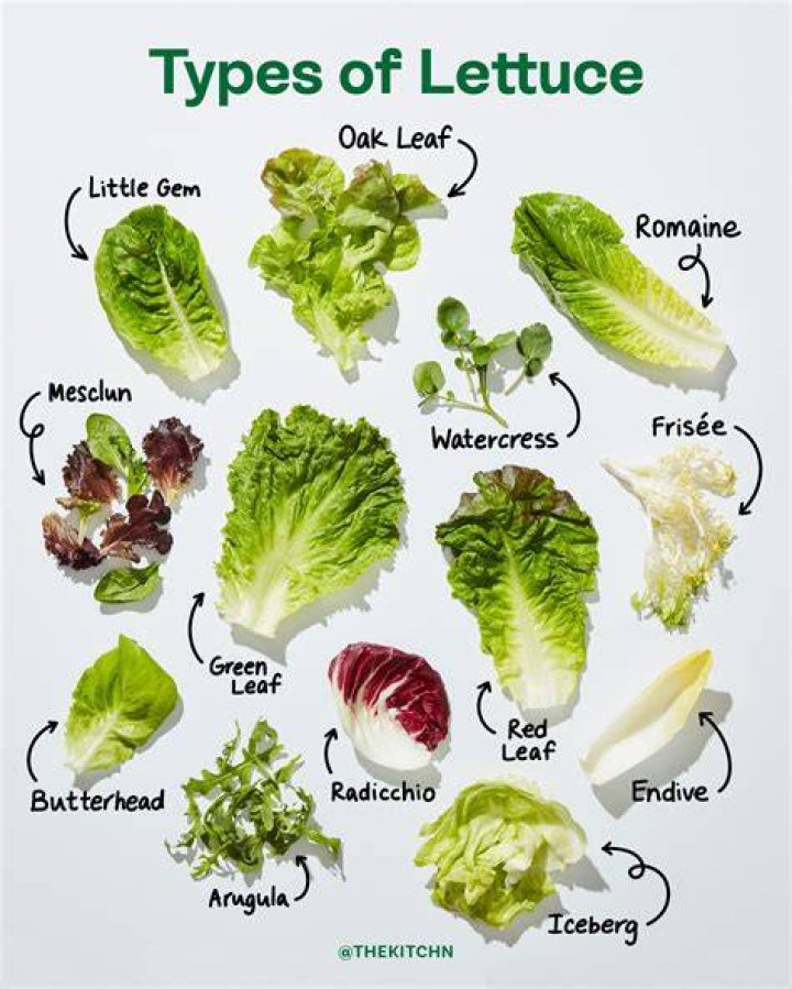 Can you eat lettuce that has gone to seed?