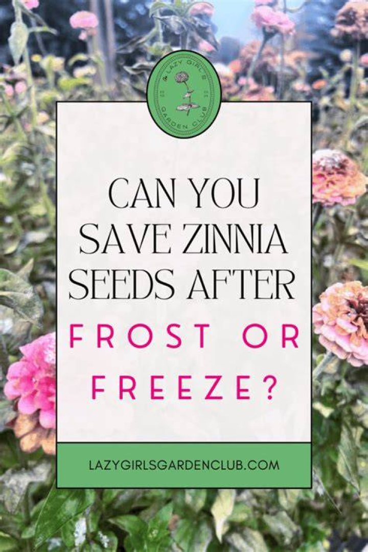 Can you freeze flowers?
