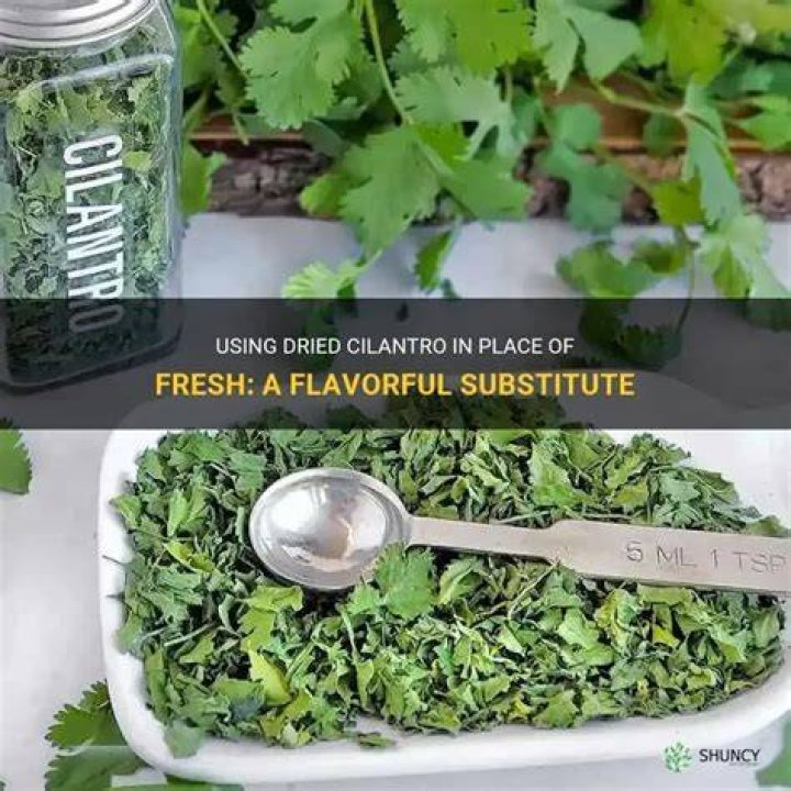 Can you substitute fresh cilantro for dried?