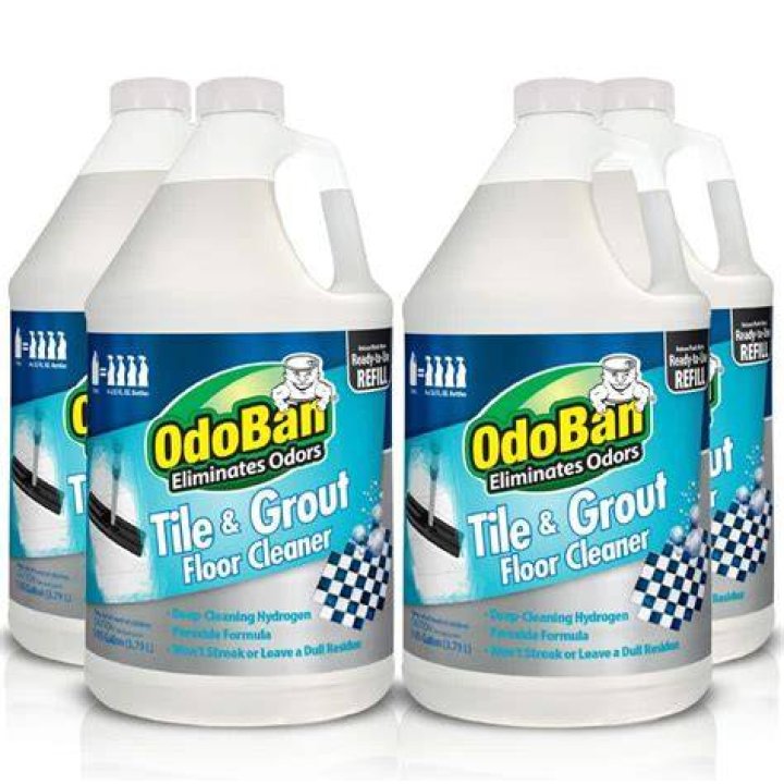 Can you use OdoBan on couches?