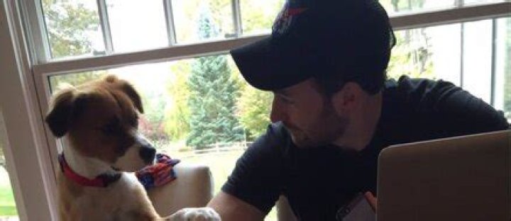 Chris Evans’ dog Dodger serenades him with the Lion King soundtrack