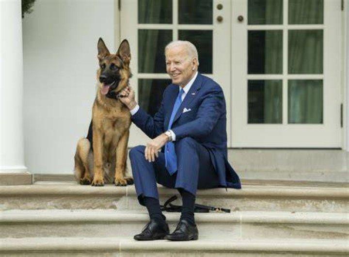 CNN: Commander Biden had 24 recorded biting incidents at the White House
