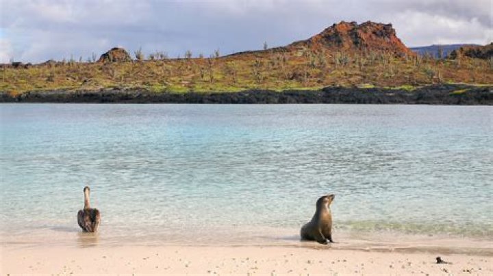 Cruise to Chinese Hat Islet