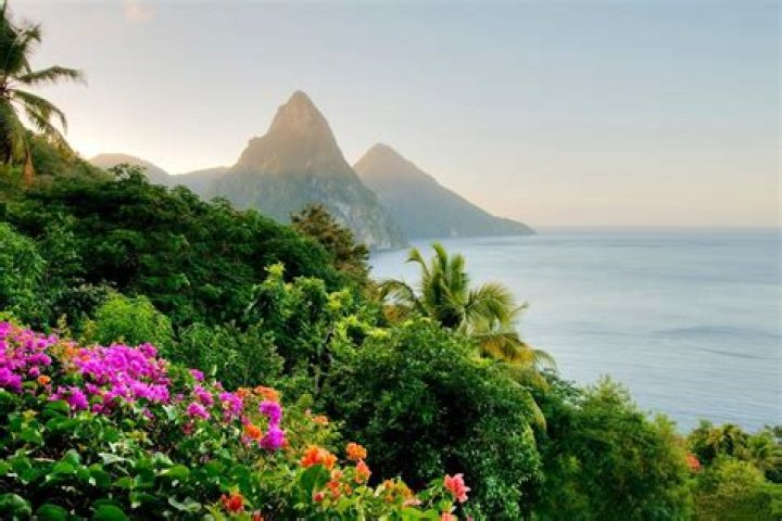 Cruises from California & California Coast Cruises
