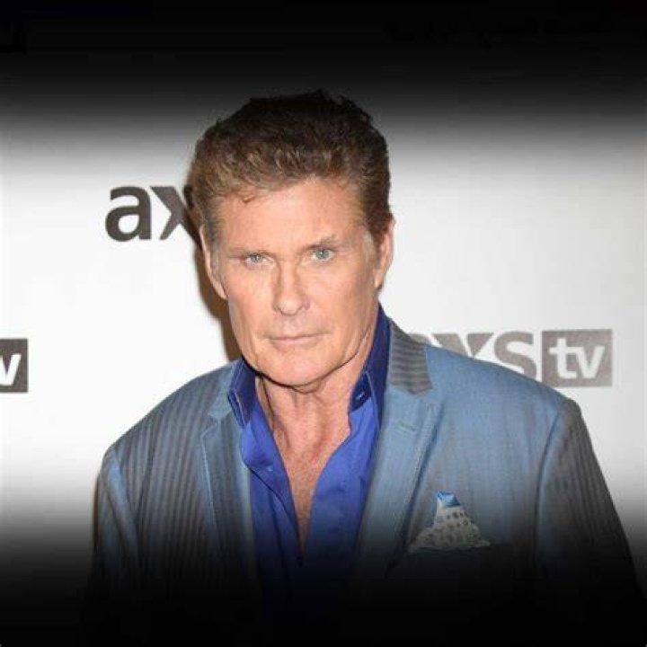 David Hasselhoff back in rehab