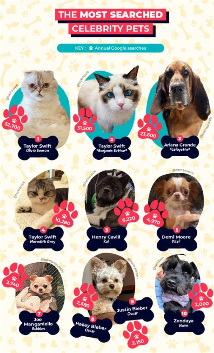 Dixie D'Amelio Pets - Celebrity Pets
