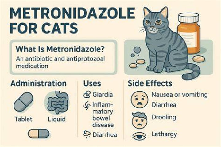 Does metronidazole for cats need to be refrigerated?
