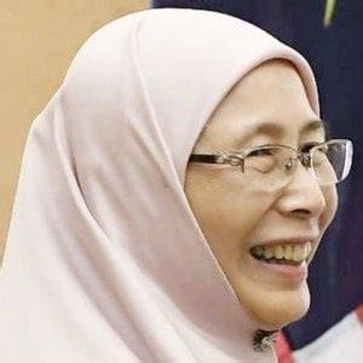 Dr Wan Azizah Wan Ismail - Age, Family, Bio