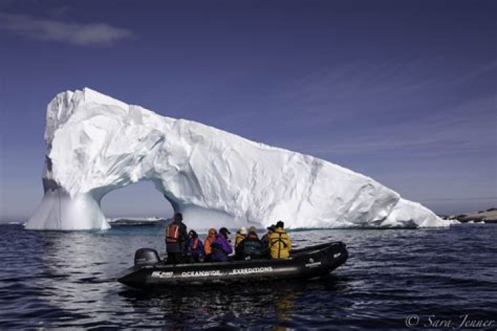 Elephant Island Cruise: Best Cruises to Elephant Island