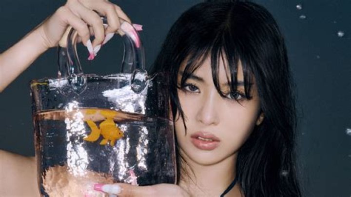 Fans Furious Over Sophia Abraham's New Appearance
