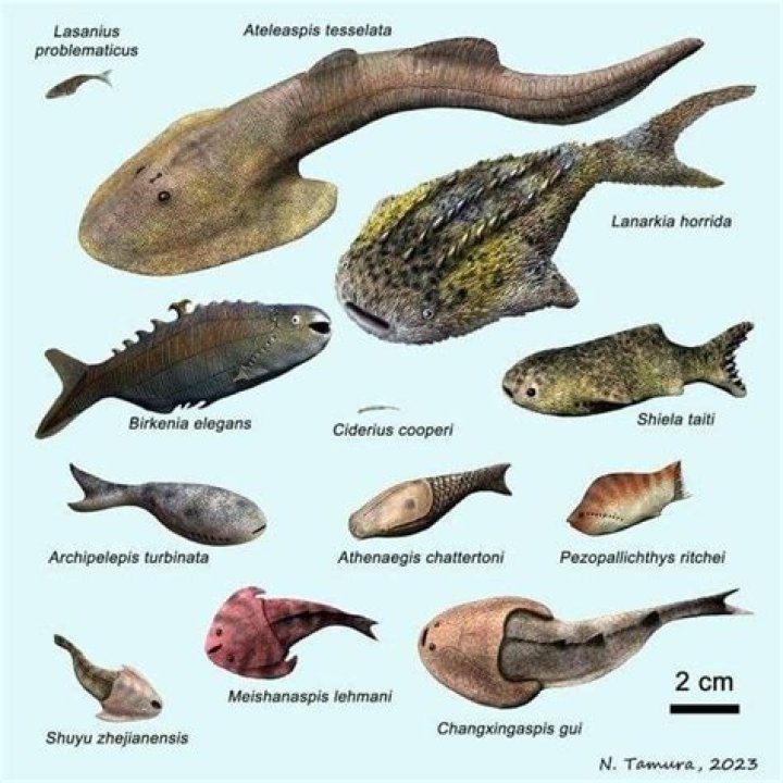 Fish - Age, Family, Bio