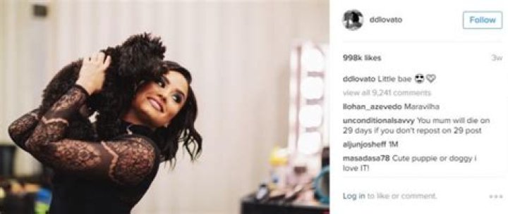 Five Reasons You Should be a Demi Lovato Instagram Follower