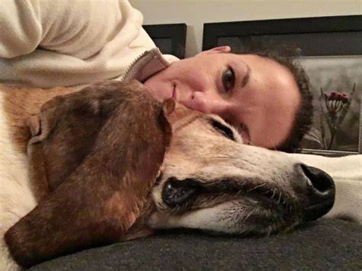 George & Amal Clooney adopted a third dog, a rescue basset hound named Millie