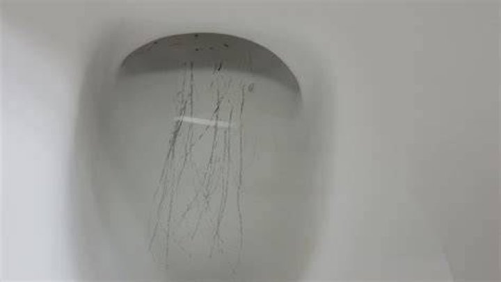 How do you get scratches out of a toilet bowl?