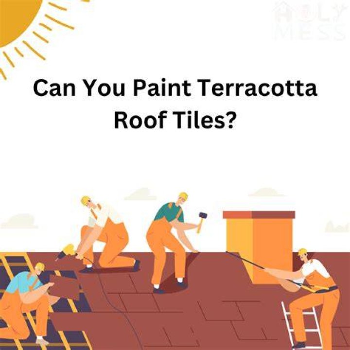 How do you remove lichen from terracotta roof tiles?