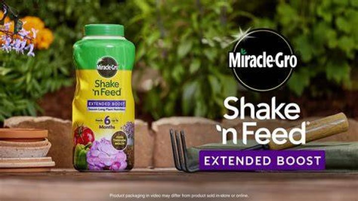 How do you use Shake and Feed?