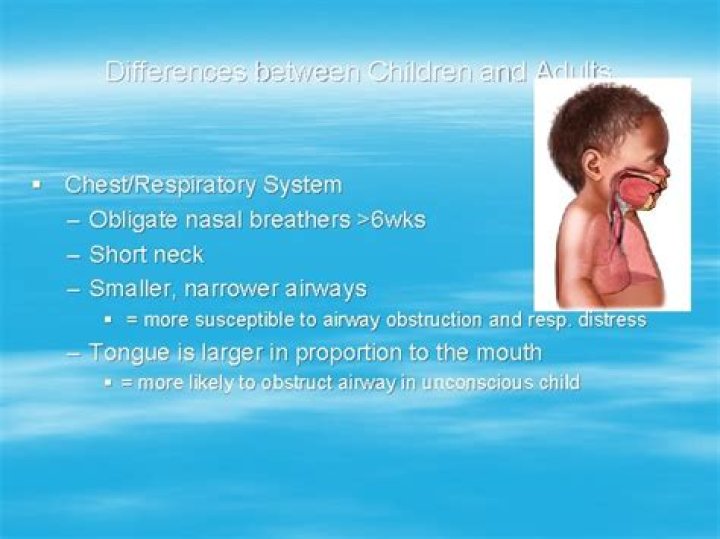 How long are infants obligate nasal breathers?