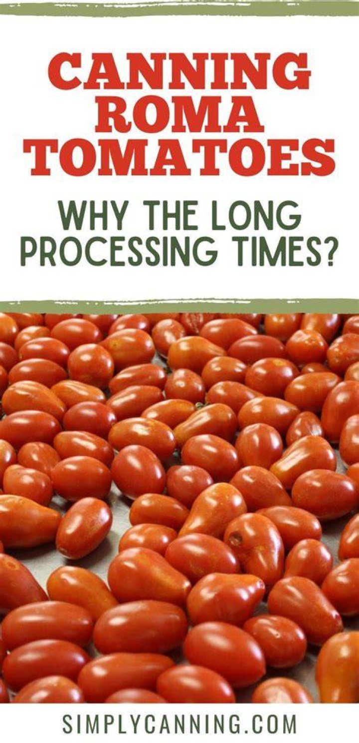 How many Roma tomatoes in a can?