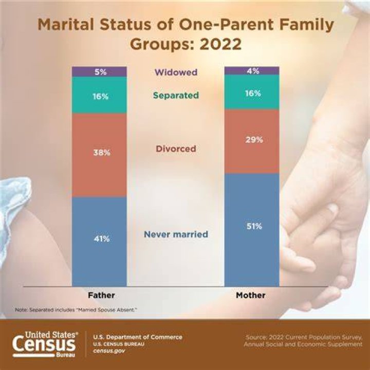 Husband, Age, Married, Marital Status, Body Measurements, Height, Accident