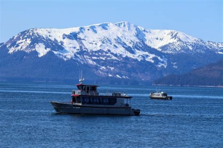 Icy Strait Point Shore Excursions & Excursion Tours