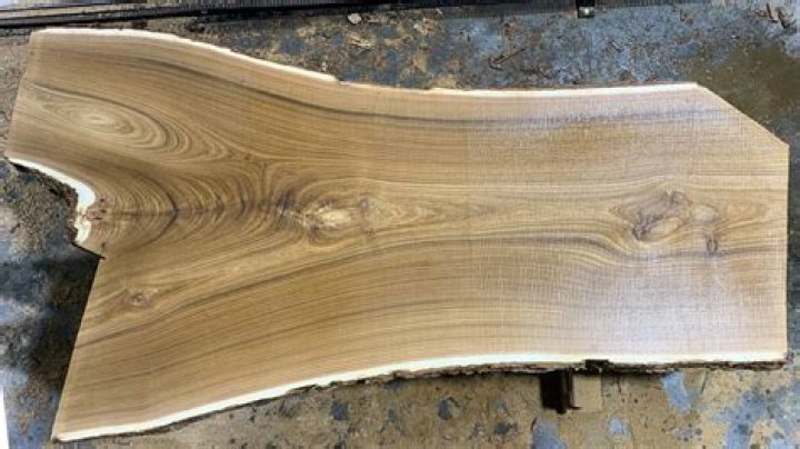 Is catalpa wood good for anything?