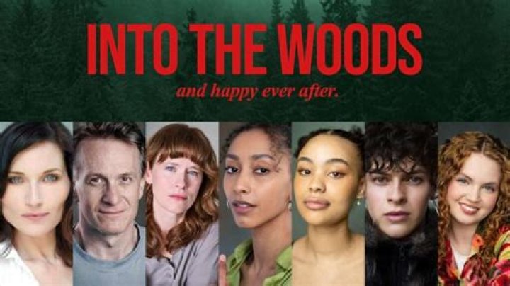 Is Into the Woods available for streaming on Netflix?