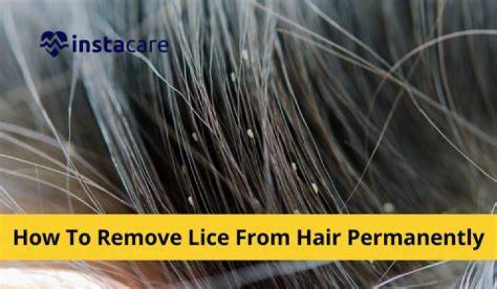 Is mouthwash good for head lice?
