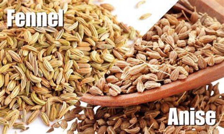 Is sweet anise the same as fennel?