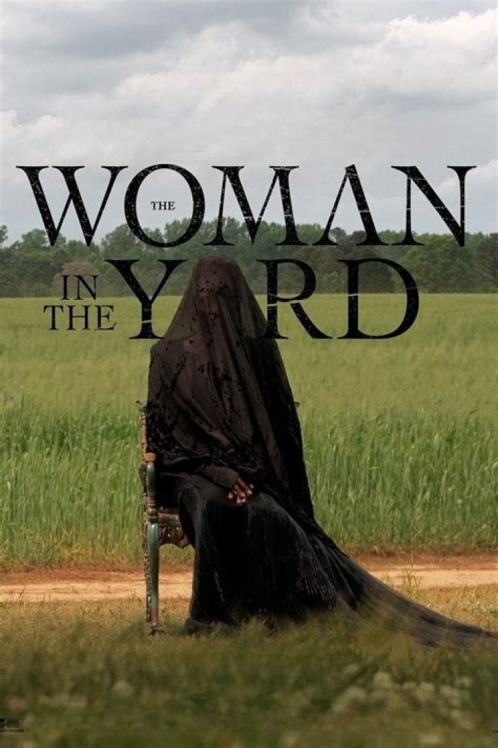 Is The Woman Across the Lake a real book?