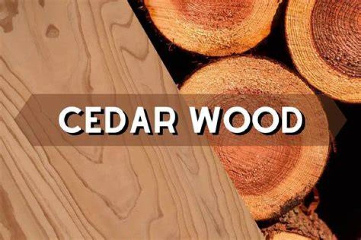 Is Western Red Cedar a hardwood or softwood?
