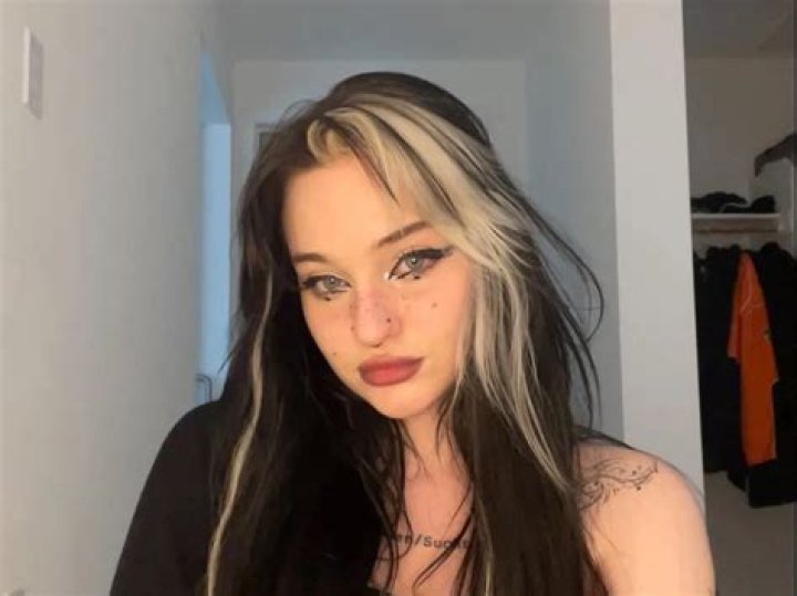 Is YouTuber Wilbur Soot Dating Nikita ‘Niki’ Nihachu Or Is He Single?