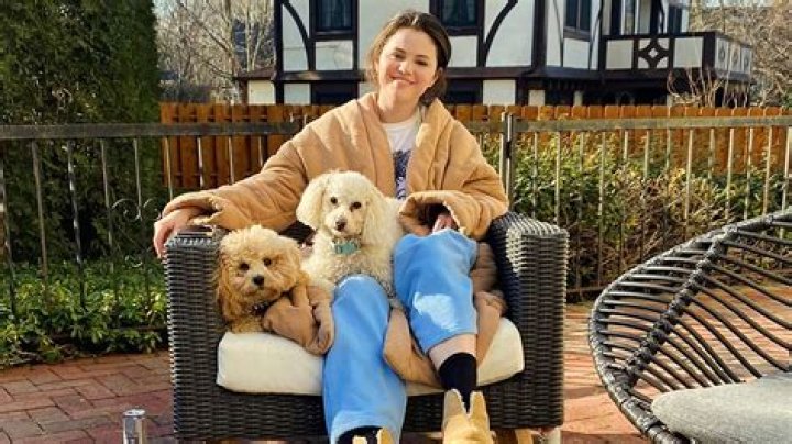 Jimmy Butler Pets - Celebrity Pets