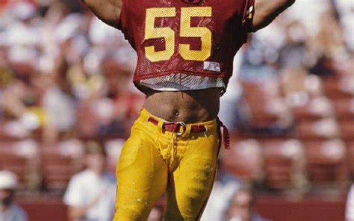 Junior Seau Net Worth - Wiki, Age, Weight and Height, Relationships, Family, and More