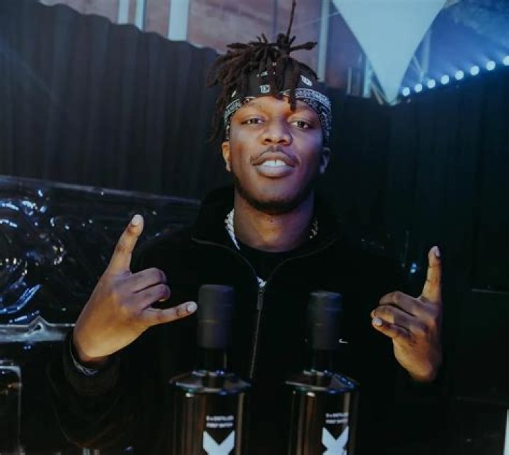 KSI Pets - Celebrity Pets