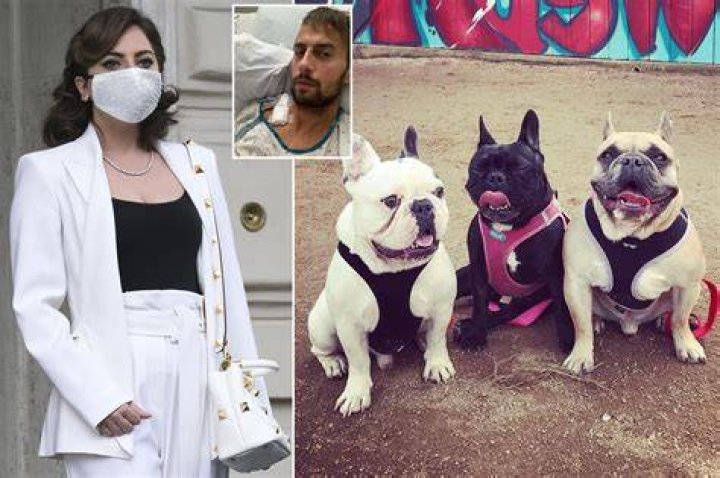 Lady Gaga wins dognapping reward case, doesn’t have to pay $500,000
