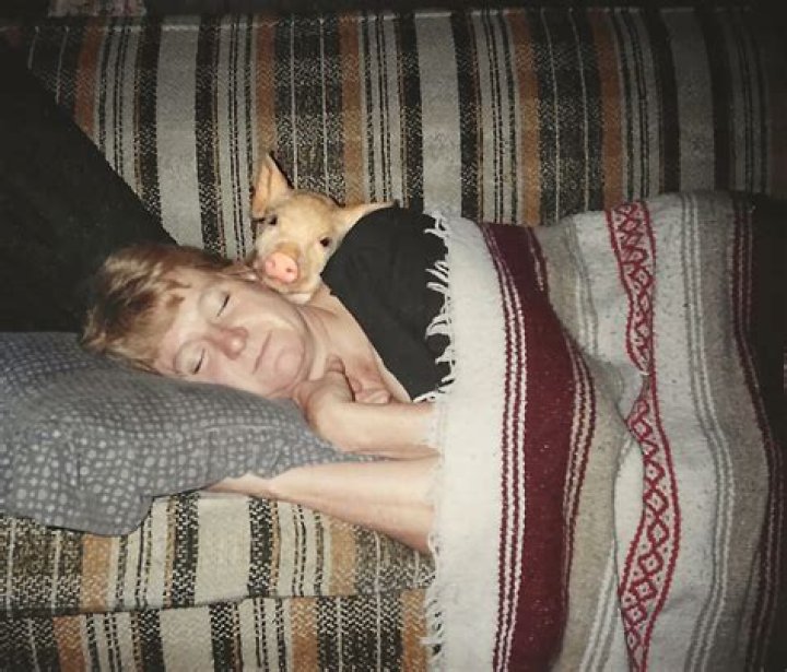 Laurie Zaleski Rescues Over 600 Animals After Escaping Domestic Violence