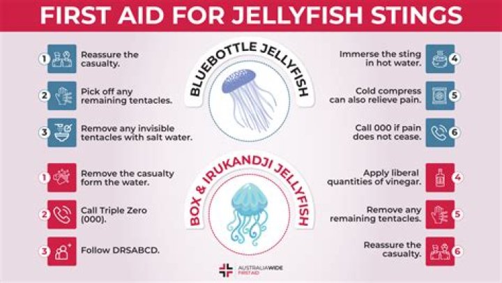 Matt Damon: you’re not supposed to pee on jellyfish stings, take a bath