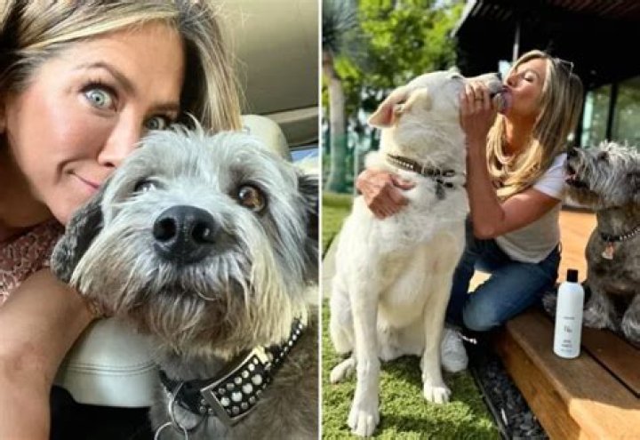 Max Verstappen Pets - Celebrity Pets