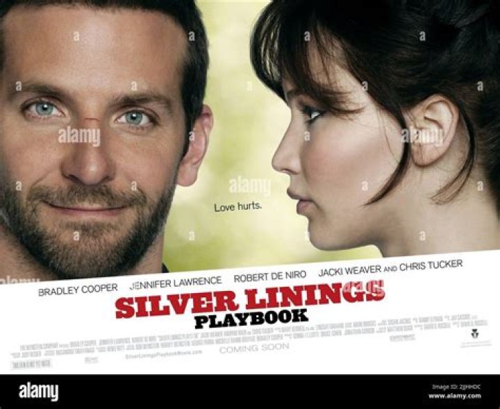 Meet the star-studded cast of Silver Linings Playbook